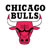 Chicago Bulls