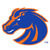 Boise State Broncos