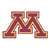 Minnesota Golden Gophers