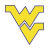 West Virginia Mountaineers